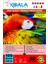 Brother Yazıcılar Için Evertday Premium Parlak 10X15CM Fotoğraf Kağıdı 230 Gr. 100 Adet 1