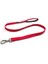 Tailpetz Garnet Match Leash Small 1