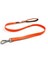 Tailpetz Neo Orange Match Small 1