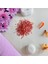 Sandal Ağacı Aromalı Banyo Tuzu 1 kg 1
