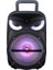 Pk-17 Fm Radyolu Mikrofonlu Rgb Tws 8 Inç Stereo Bass Kablosuz Karaoke Hoparlör 1