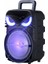 Pk-17 Fm Radyolu Mikrofonlu Rgb Tws 8 Inç Stereo Bass Kablosuz Karaoke Hoparlör 5
