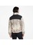 Graphic Pack Puffer 3