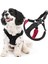 Luxury Gooby - Free Spor Yemek Takımı, Küçük Köpekler Için, Neopren Yemek Takımlarından Kaçmayı Seven Köpe 1 Adet 1