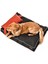 Luxury Köpek Yatağı ve Yastık Takımı - Jewel Large 1 Adet 2