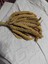 Daldarı Sarı 250 gr 4