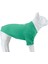 Luxury Lindo Dogs Make Today Amazing Köpek Kıyafeti Tshirt Yeşil Beden 3 1 Adet 2