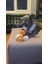 Luxury Köpek Oyuncağı - Diş Tartarı Önleyici - Dumbell Large - 20 cm 1 Adet 2