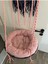 Luxury Kedi Yata 1 Adet 4