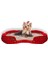 Luxury Bone Köpek Yatağı (70X46CM. H= 10CM.) 1 Adet 1