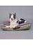 Luxury Soft View Köpek Yatağı 1 Adet 2
