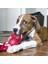 Luxury Kong Ipli Top Köpek Oyuncağı Small 6.5 cm 1 Adet 2