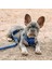 Luxury Chest Plate Harness 1 Adet 2