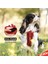 Luxury Chest Plate Harness 1 Adet 5