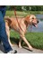 Luxury Easy Walk Headcollar Köpek Kafalıklı Tasma Kırmızı Large 27.2-59 kg 1 Adet 1