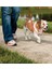 Luxury Easy Walk Headcollar Köpek Kafalıklı Tasma Kırmızı Large 27.2-59 kg 1 Adet 3