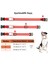 Luxury TZ-TC6230 LED Işıklı Şarjlı Köpek Tasması, Su Geçirmez, 3 Renk Seçenekli 1 Adet 5
