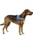 Luxury Belden Köpek Tasması Maestro 2.0 Xxl 83-113 cm x 38 mm 1 Adet 2