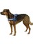 Luxury Belden Köpek Tasması Maestro 2.0 Xxl 83-113 cm x 38 mm 1 Adet 3