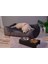 Luxury Pawtrail Kedi Köpek Yatağı(Nakış Isimlik ) 1 Adet 5