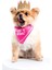 Luxury Meta Pembe Köpek Tacı M 1 Adet 2