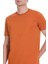 Tarçın Regular Fit Bisiklet Yaka Pamuklu Tişört 4