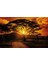 Poster 055 P4 (2.54*1.84CM) 1
