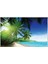 Poster 736 P4 (2.54*1.84CM) 1