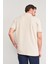 3047-L Erkek Polo Yaka Penye Pike T-Shirt Vizon 4