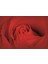 Poster 560 P4 (2.54*1.84CM) 1