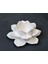13cm Sukulent Lotus Nilüfer Çiçek Mumluk Tealight Silikon Kalıp K-346 4