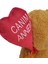 Canım Annem Balonlu Ayı Peluş 40 cm 3