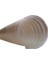 Toz Talaş Emme Hortumu Ağır Hizmet(Lento PVC-H/175MM/10MT) 1