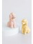 Pastel Poodle Tuz ve Biberlik 1