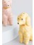 Pastel Poodle Tuz ve Biberlik 3