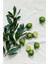 Lime & Bay El ve Tırnak Seti, El Sabunu ve Nemlendirici Krem (25 gr ml) 4