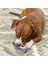 Durablez Owl Düdüklü Peluş Köpek Oyuncağı Xs 4