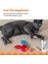 Kitty Sweet Treats Catnip'li Kedi Oyuncağı 6'lı Paket 5