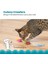 Cute As A Bug Catnip'li Kedi Oyuncağı 6'lı Paket 5