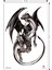 Ejderha Dövmesi Dragon Tattoo Geçici Dövme 2
