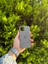 Apple iPhone 12/12 Pro Gri Lansman Uyumlu Içi Kadife Silikon Kılıf 1