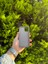 Apple iPhone 12/12 Pro Gri Lansman Uyumlu Içi Kadife Silikon Kılıf 2