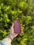 Apple iPhone 12/12 Pro Bordo Lansman Uyumlu Içi Kadife Silikon Kılıf 2