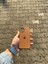 Apple iPhone 12/12 Pro Kahverengi Lansman Uyumlu Içi Kadife Silikon Kılıf 3