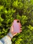 Apple iPhone 12/12 Pro Pembe Lansman Uyumlu Içi Kadife Silikon Kılıf 2