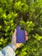 Apple iPhone 15 Pro Mor Lansman Uyumlu Içi Kadife Silikon Kılıf 2