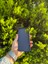 Apple iPhone 16 Plus Lacivert Lansman Uyumlu Içi Kadife Silikon Kılıf 2