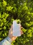 Apple iPhone 13/14 Beyaz Lansman Uyumlu Içi Kadife Silikon Kılıf 2