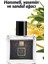 Little Black Dress Kadın Parfüm Edp 30 Ml. 2