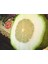 Bergamot Reçeli-2 Adet 400GR 4